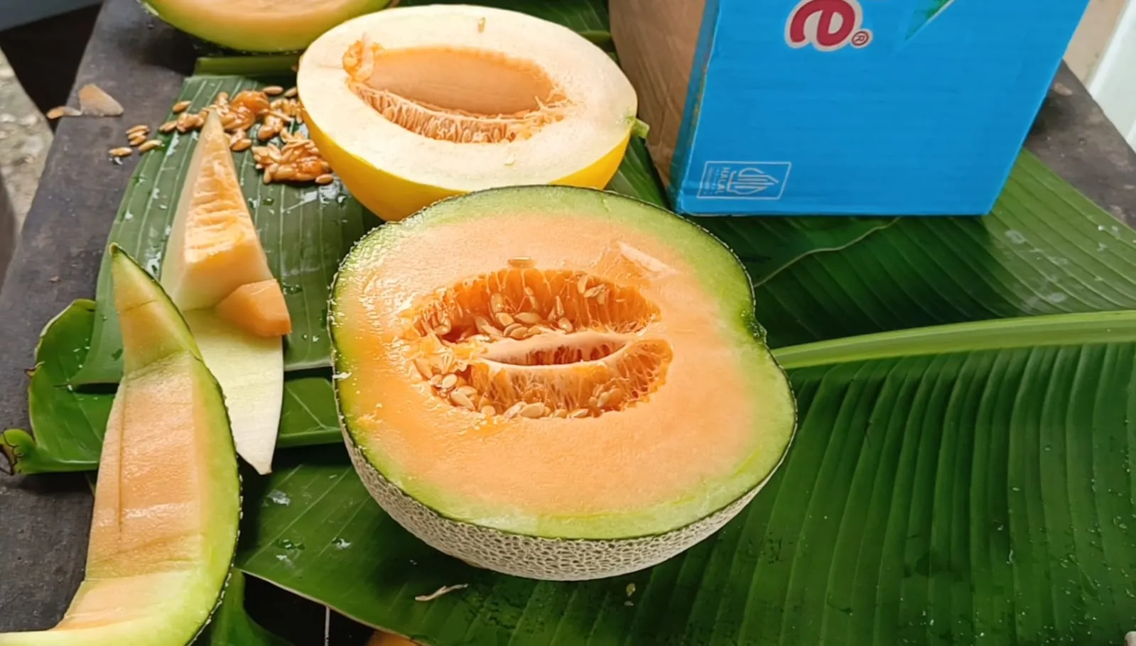 Panen Perdana Melon Hidroponik Batursari Resmi Digelar, Wisata Petik Melon Dibuka untuk Umum